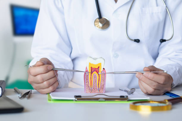 Best Orthodontic Emergency Dentist in Brazoria, TX